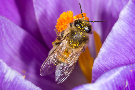 shutterstock_391761139 copy.jpg