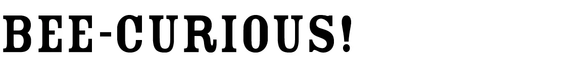 header-beecurious-FL-277.jpg