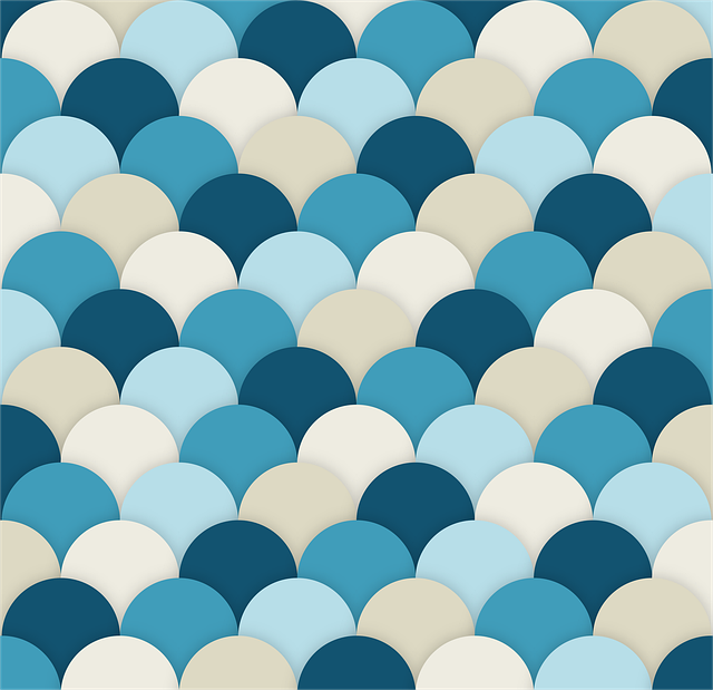 scallops-3144993_640 (1).png