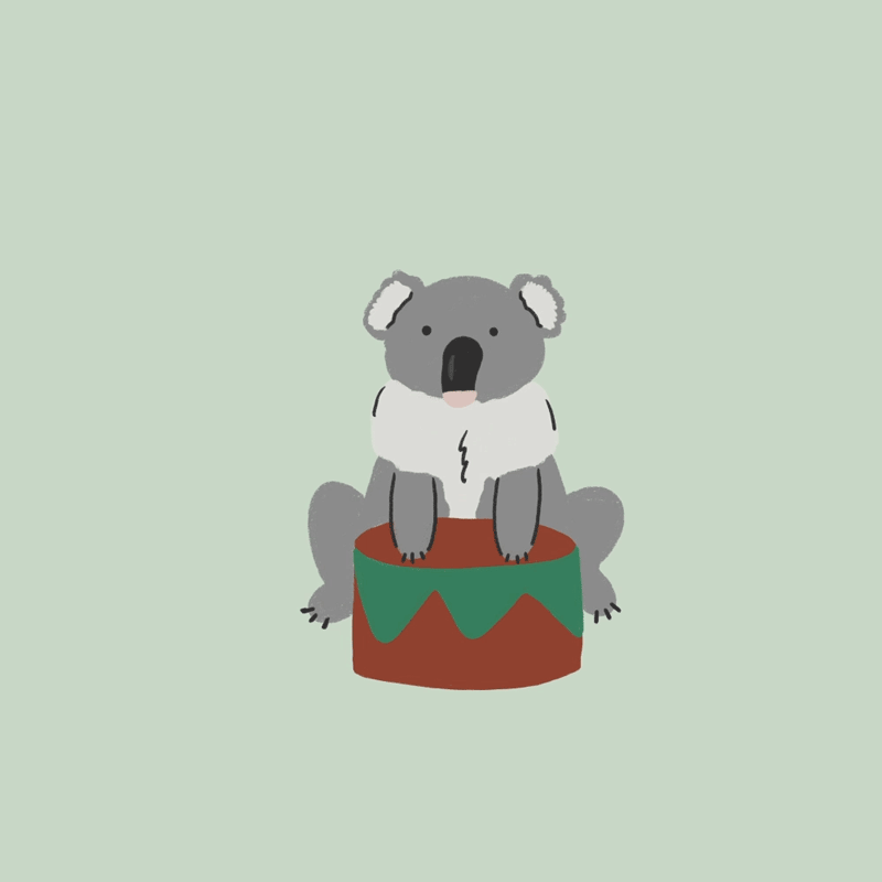 koala-drummer-boi.gif