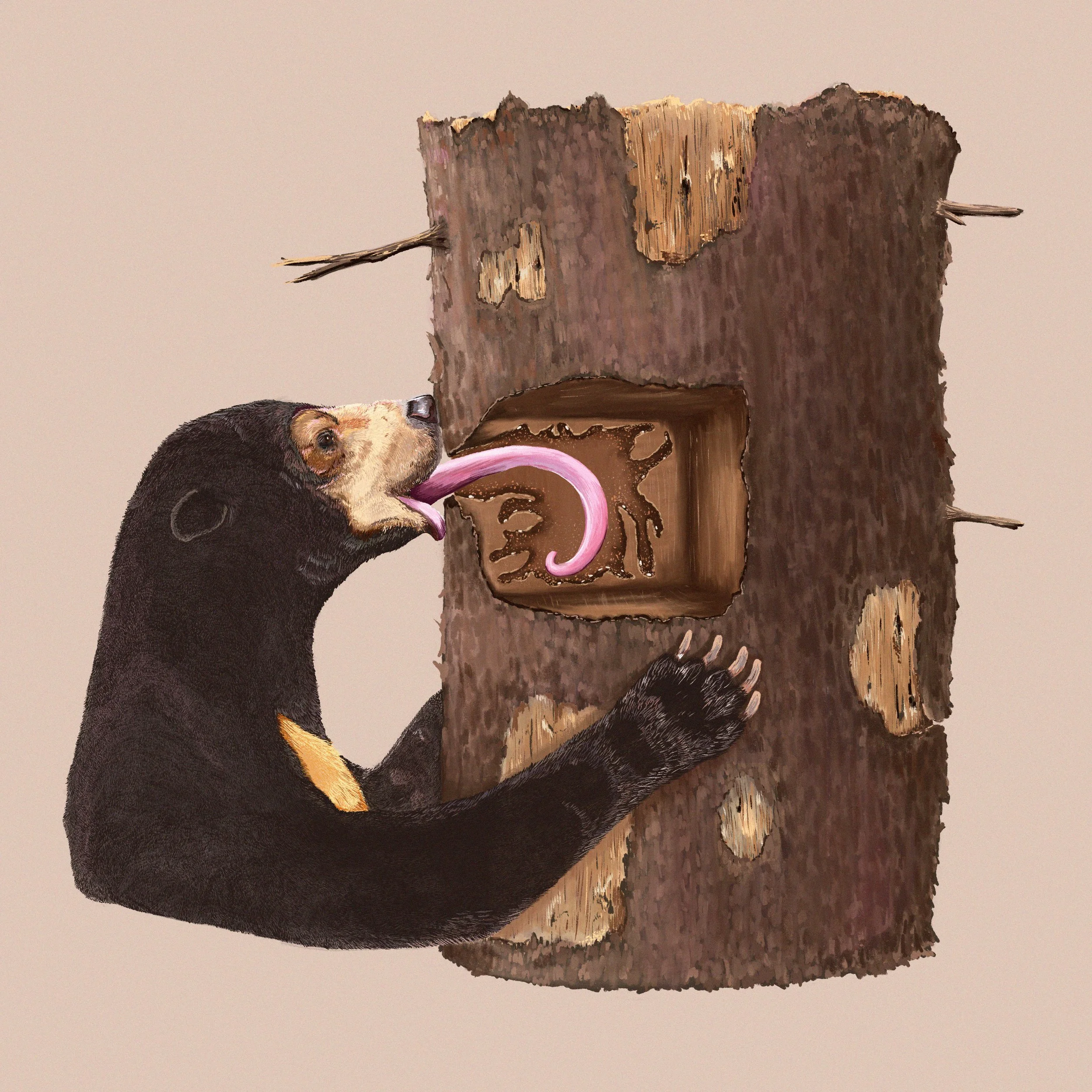 Kara Mohr_sunbear_12x12.jpg