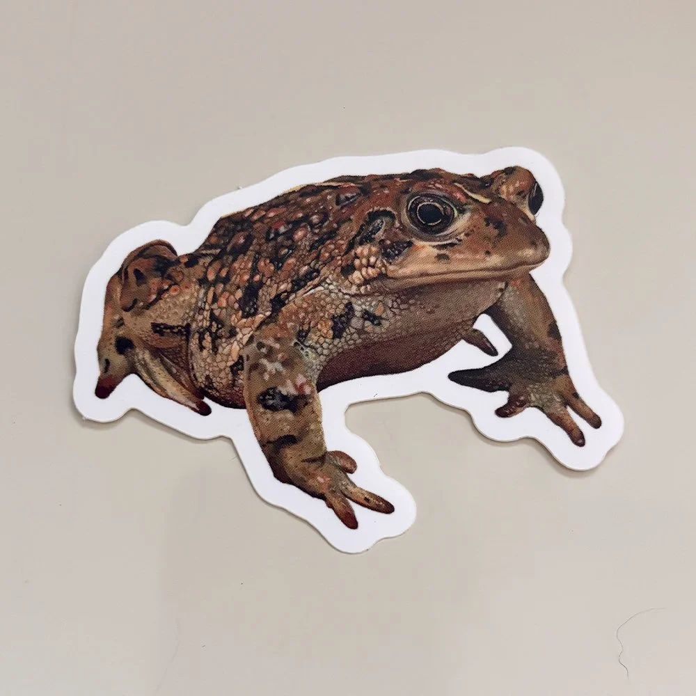 toad.jpg