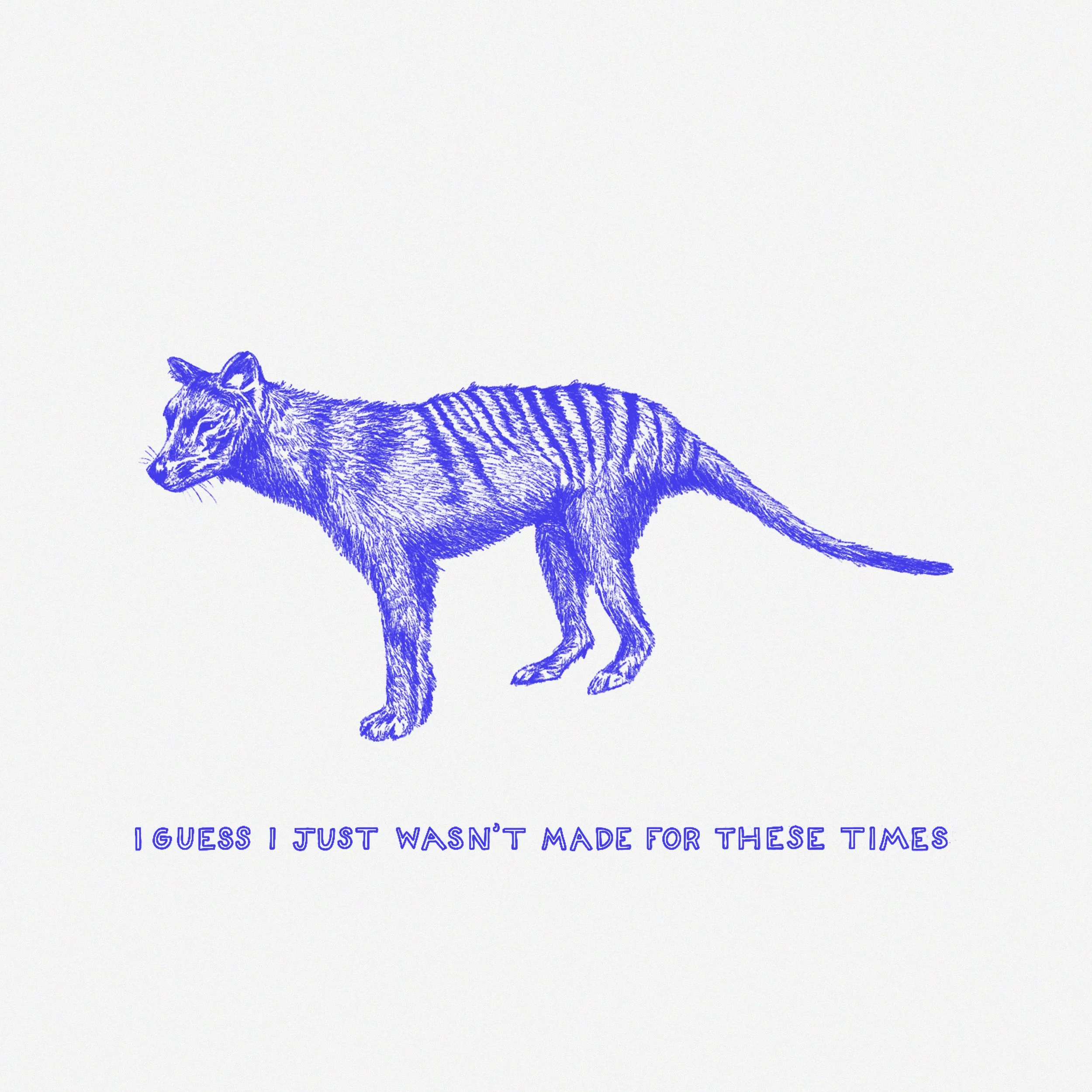tasmanian-tiger-12x12.jpg (Copy)