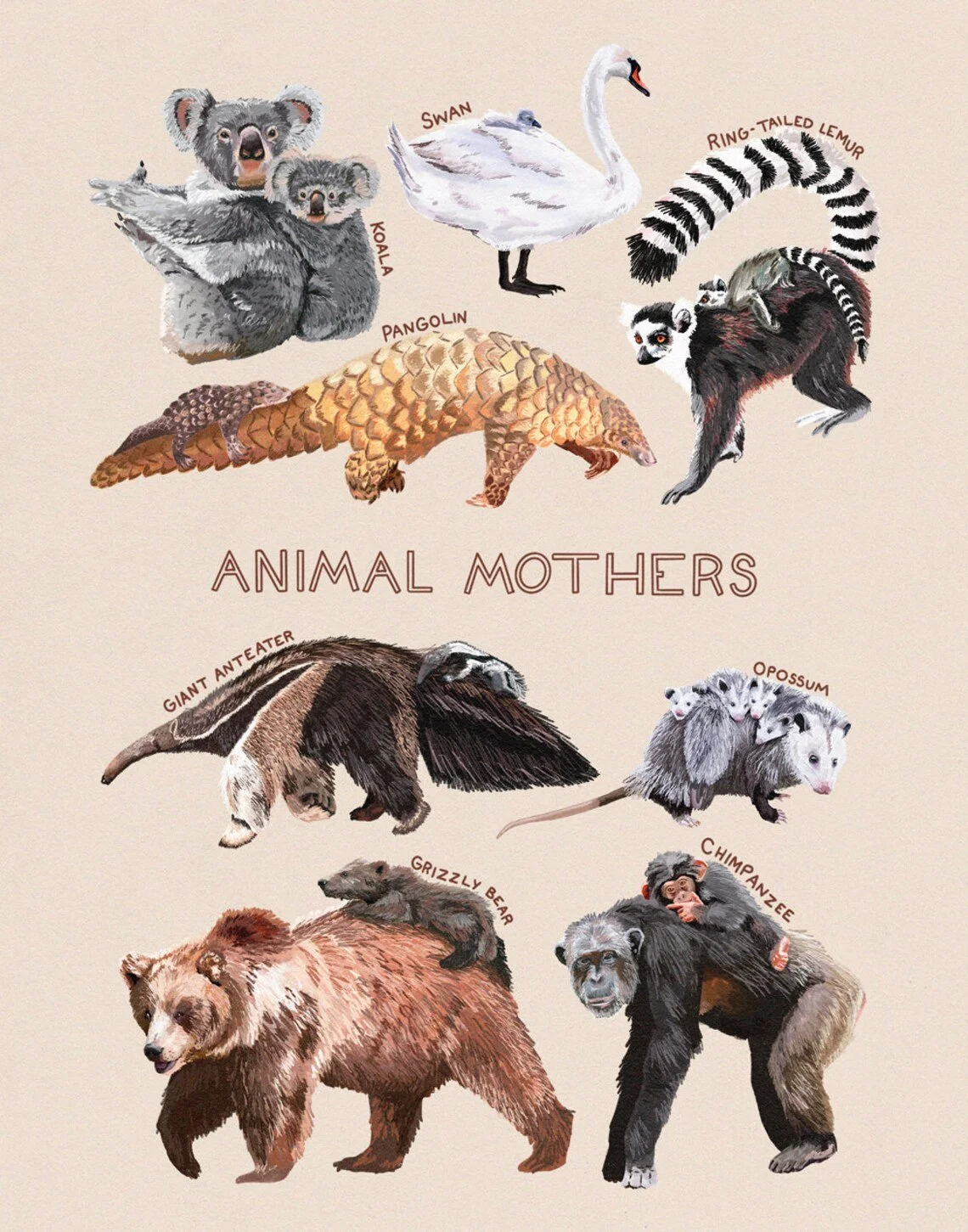 aimal mothers.jpg