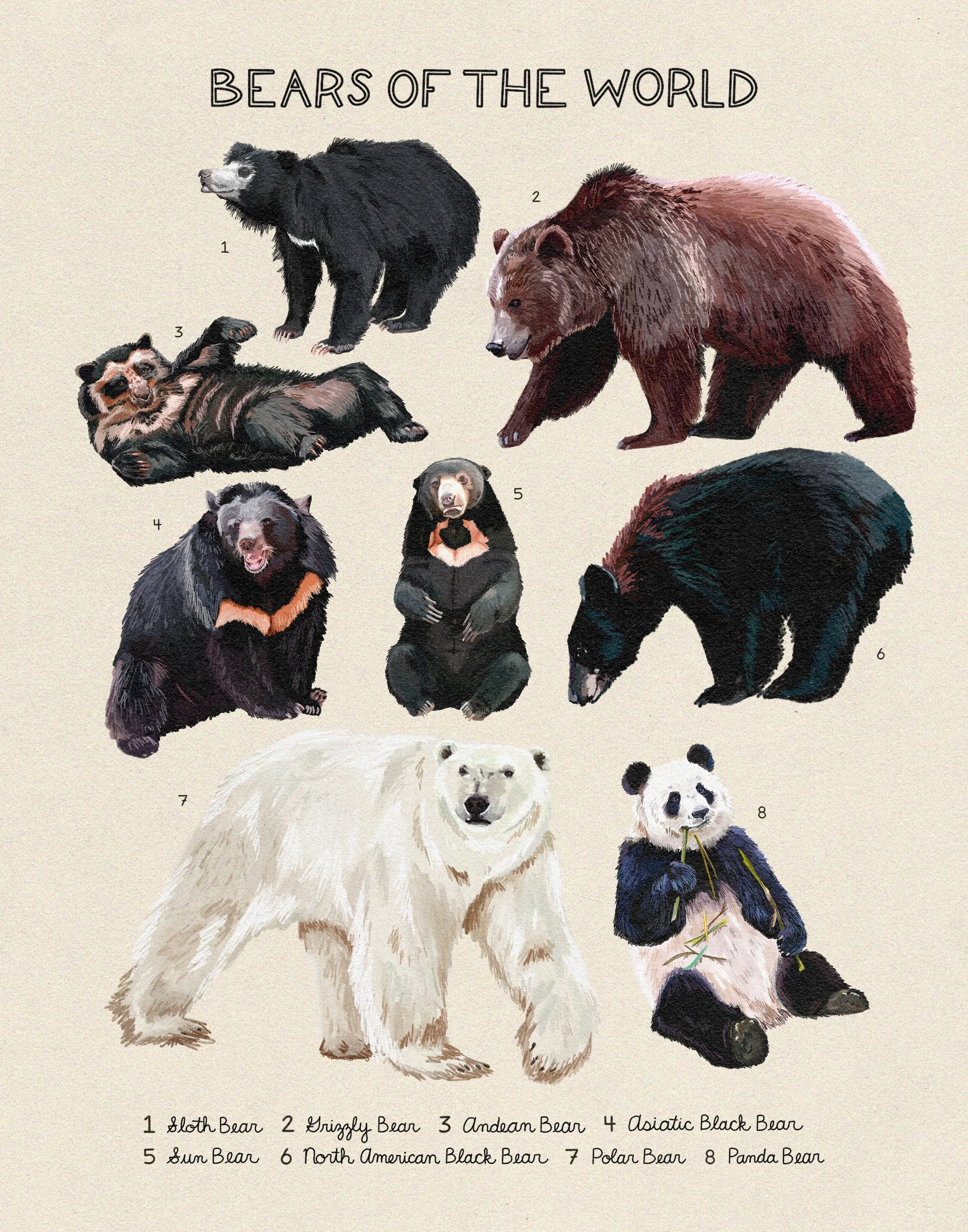 Kara Mohr bears of the world.jpg