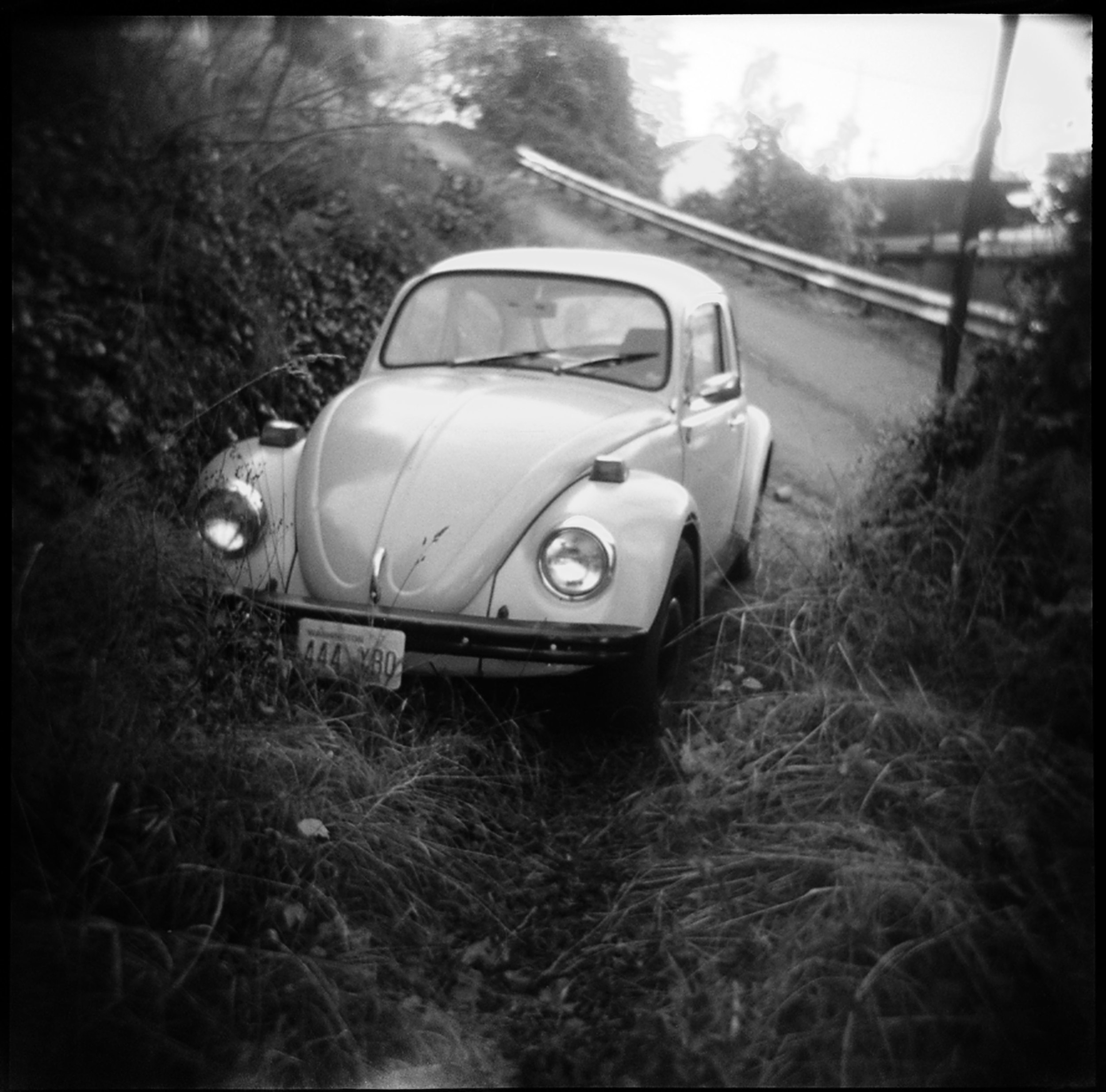 vwbugweb.jpg