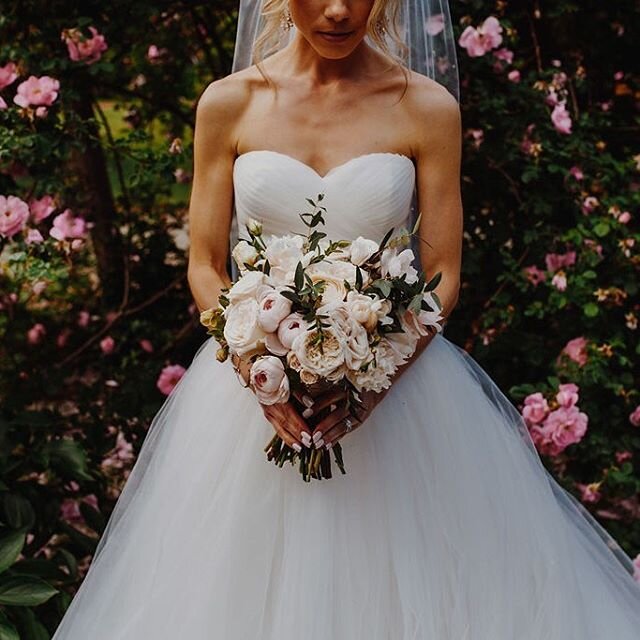 I&rsquo;ve known Adrienne and her family for many years so to be able to attend her wedding and design her flowers was so much fun!! She was absolutely stunning❤️ @olive.eye.photography captured everything perfectly! .
.
. 
Makeup: @kristinaruggerioc