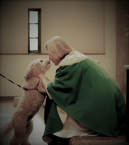 St. Francis Dog day pix-1-2 EDIT.jpg