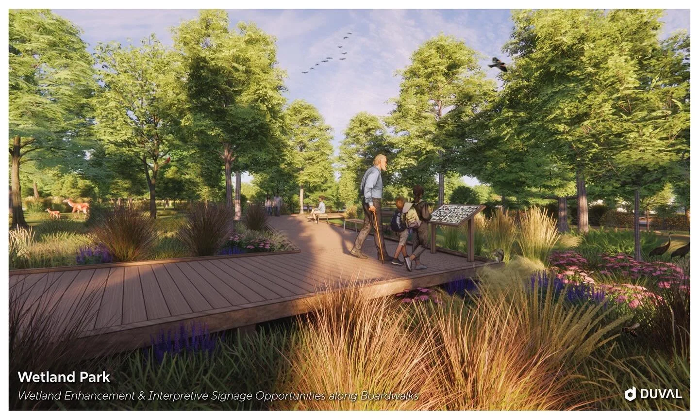 Wetland Restoration | Detail from our work with the Two Harbors Waterfront Task Force. #agate-bay #waterfront #restoration #northshore #duval