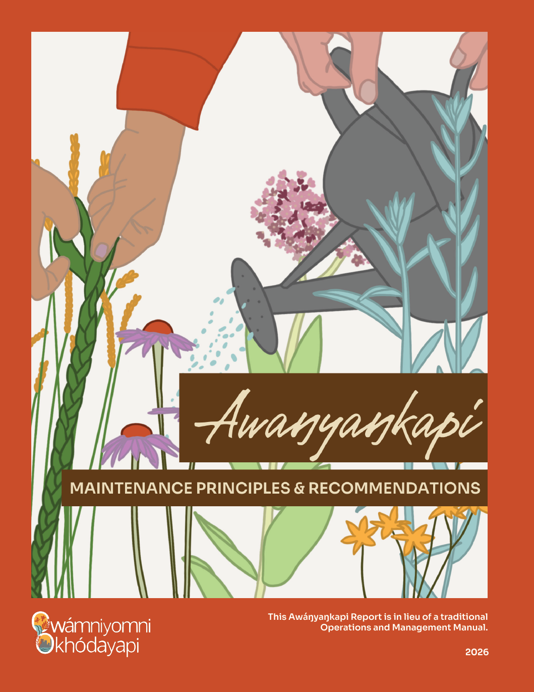 Awanyankapi Report Cover.png