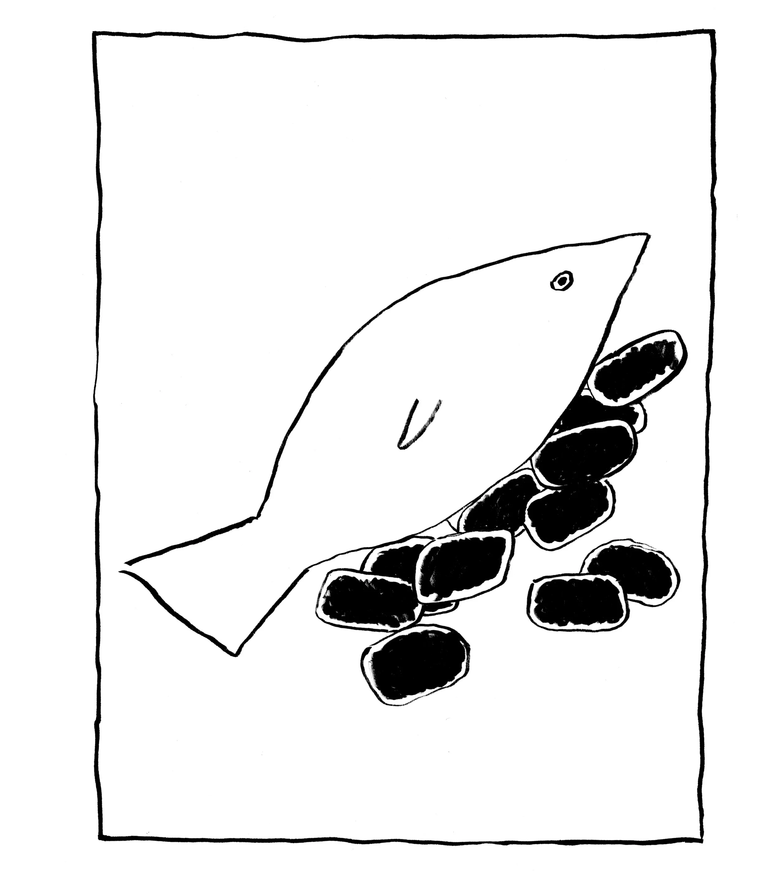 4John21_FishFire.jpeg