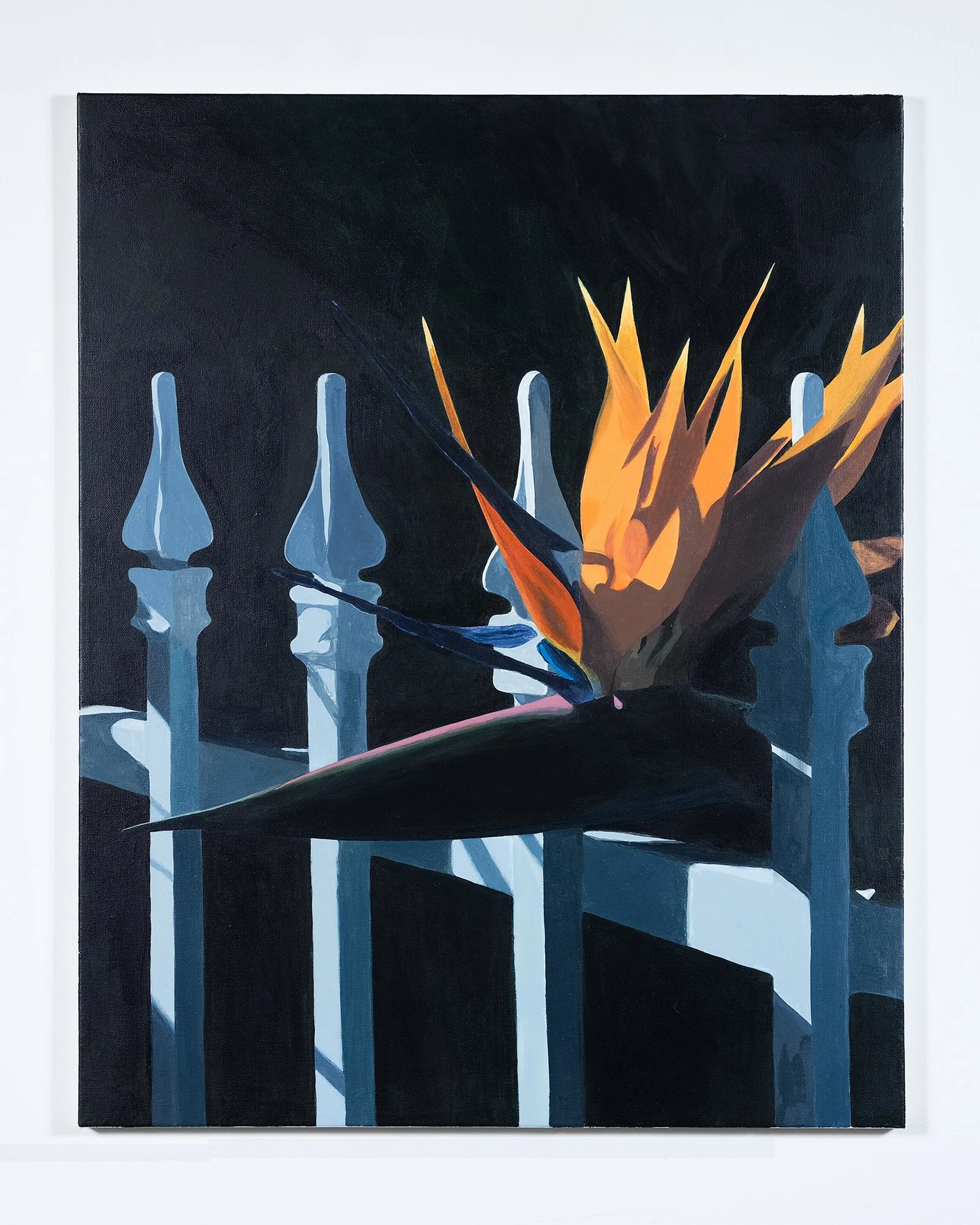 01_ANNA PIPES_NIGHT FLOWER_2026.jpg