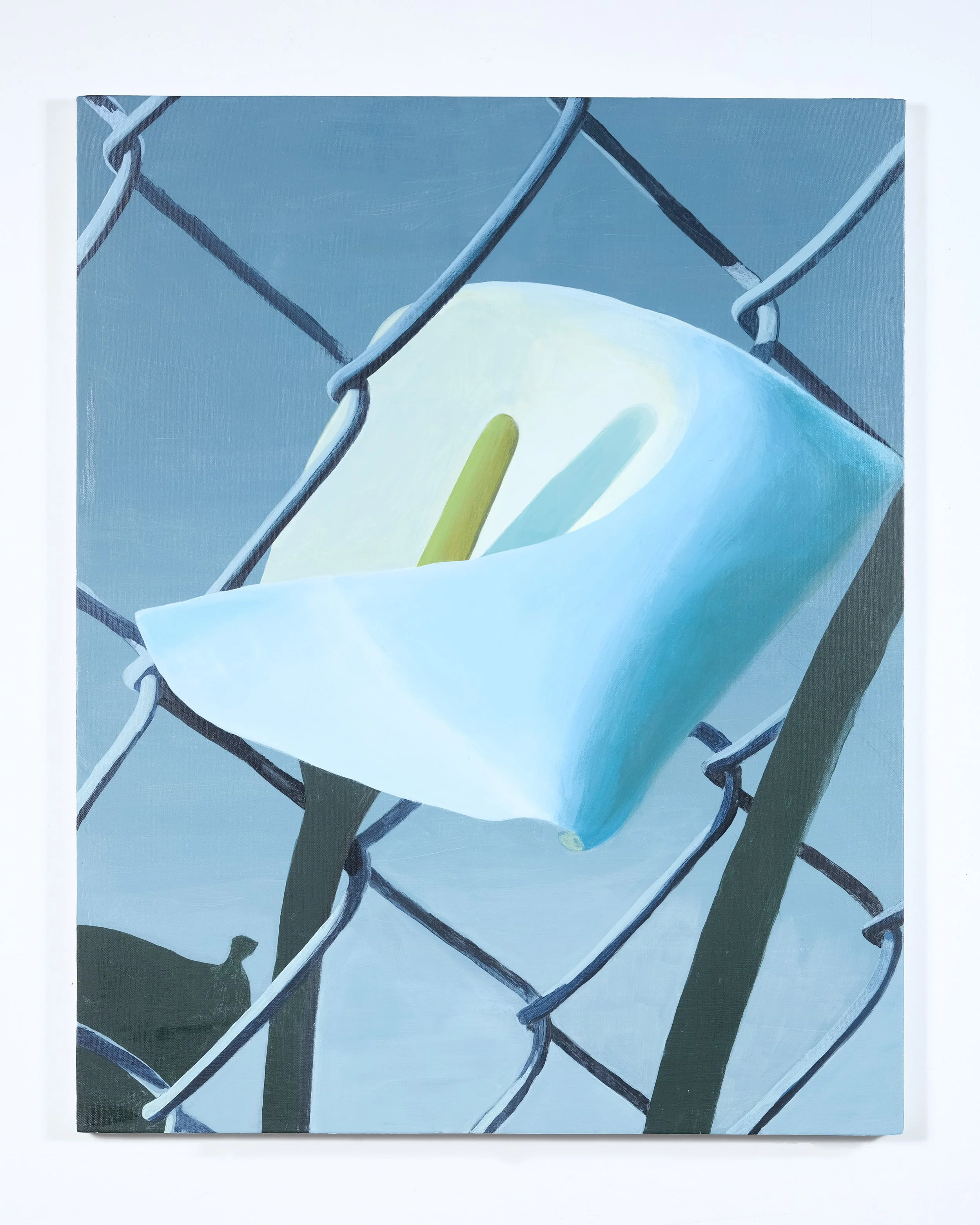 02_ANNA PIPES_LILY_2026.jpg