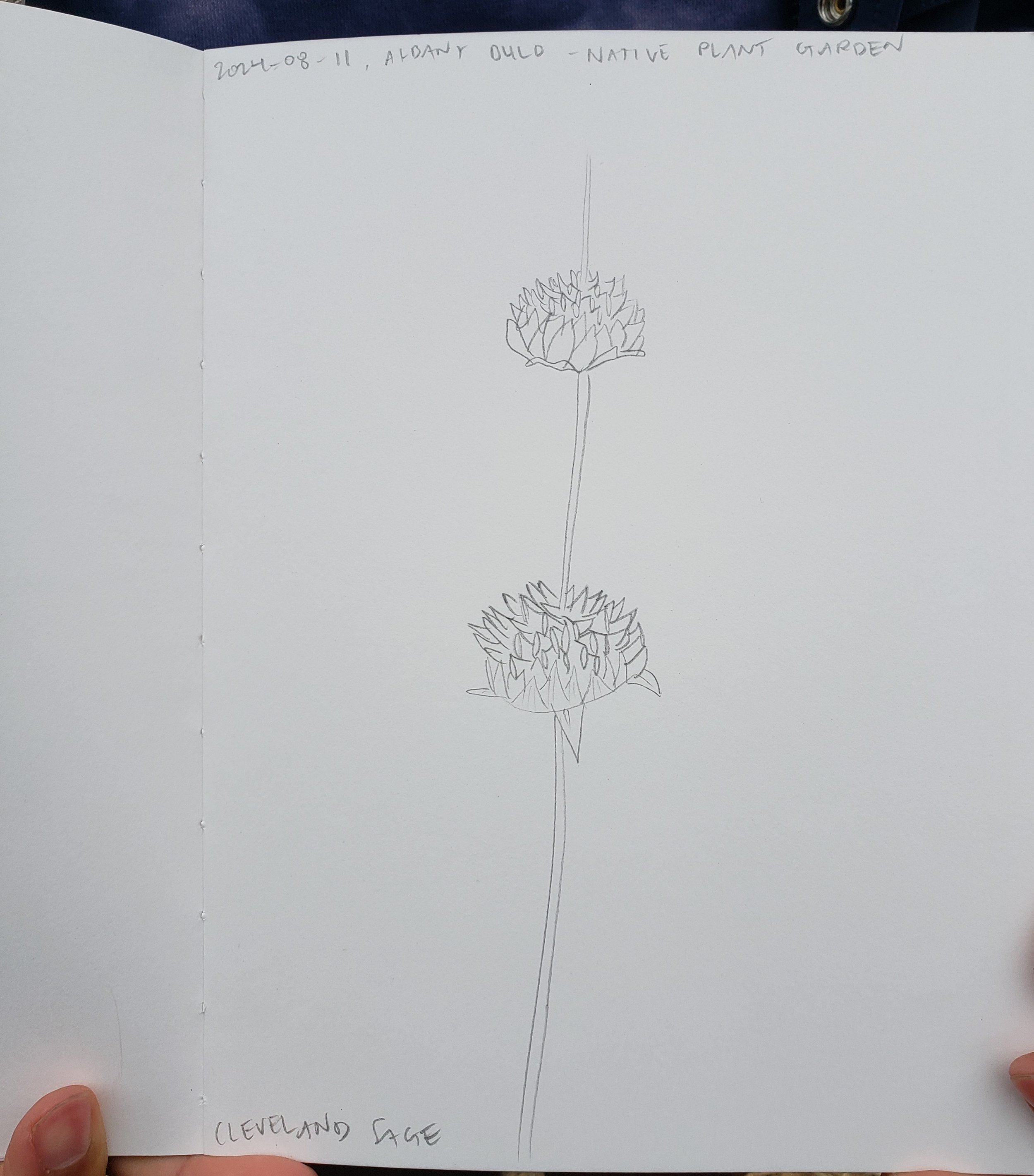 20240811_145543.jpg