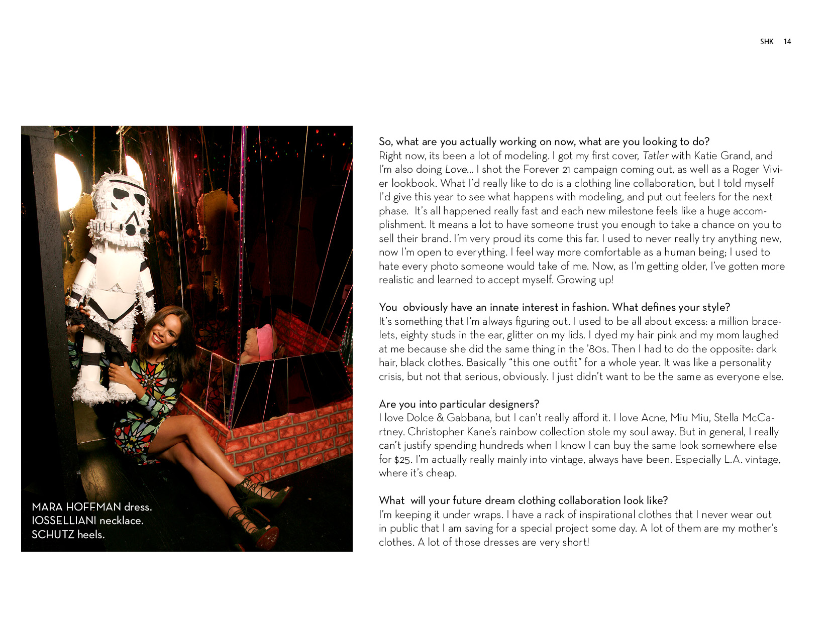 SHK-Summer-Issue-Summer-Needs-No-Explaination-201314.jpg
