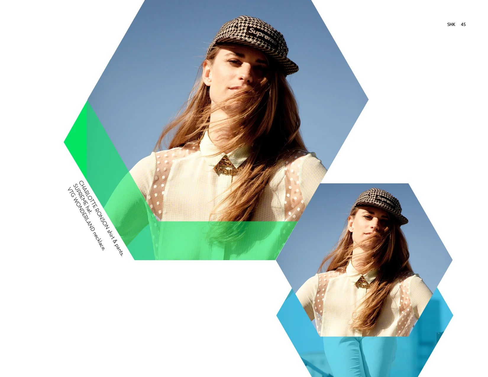 SHK-Summer-Issue-Summer-Needs-No-Explaination-201345.jpg