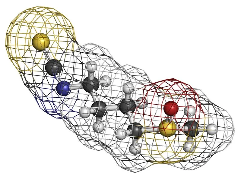 Sulforaphane broccoli molecule, chemical structure. Atoms are represented as spheres with conventional color coding: hydrogen (white), carbon (grey), oxygen (red), sulfur (yellow), nitrogen (blue)