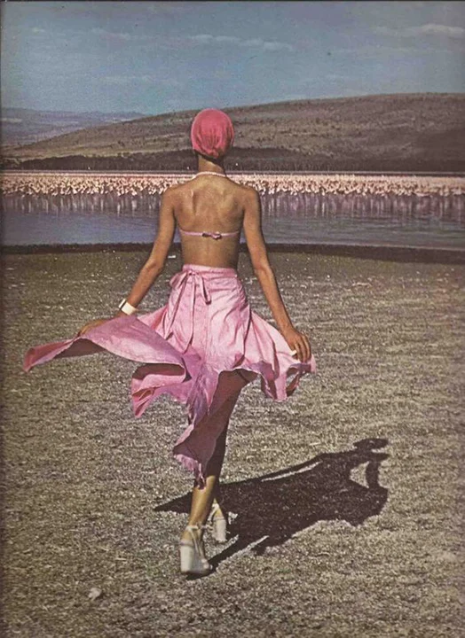 Pink Flamingos Lake Pat Cleveland, Barry McKinley, 1974, Nakura Fashion Lothar's Beauchamp Place