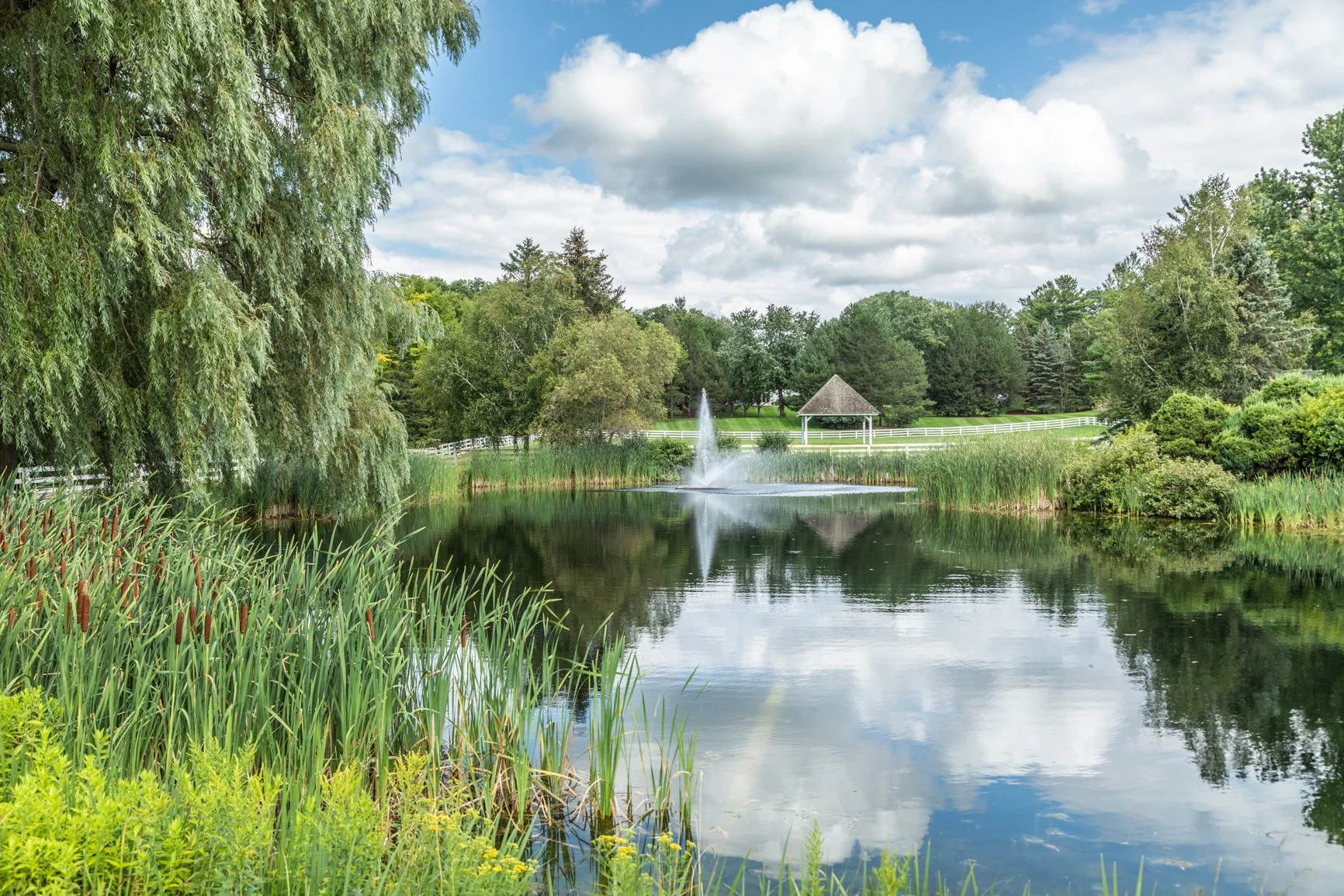 030 14900_7thConcessionKING_WEB-25.jpg