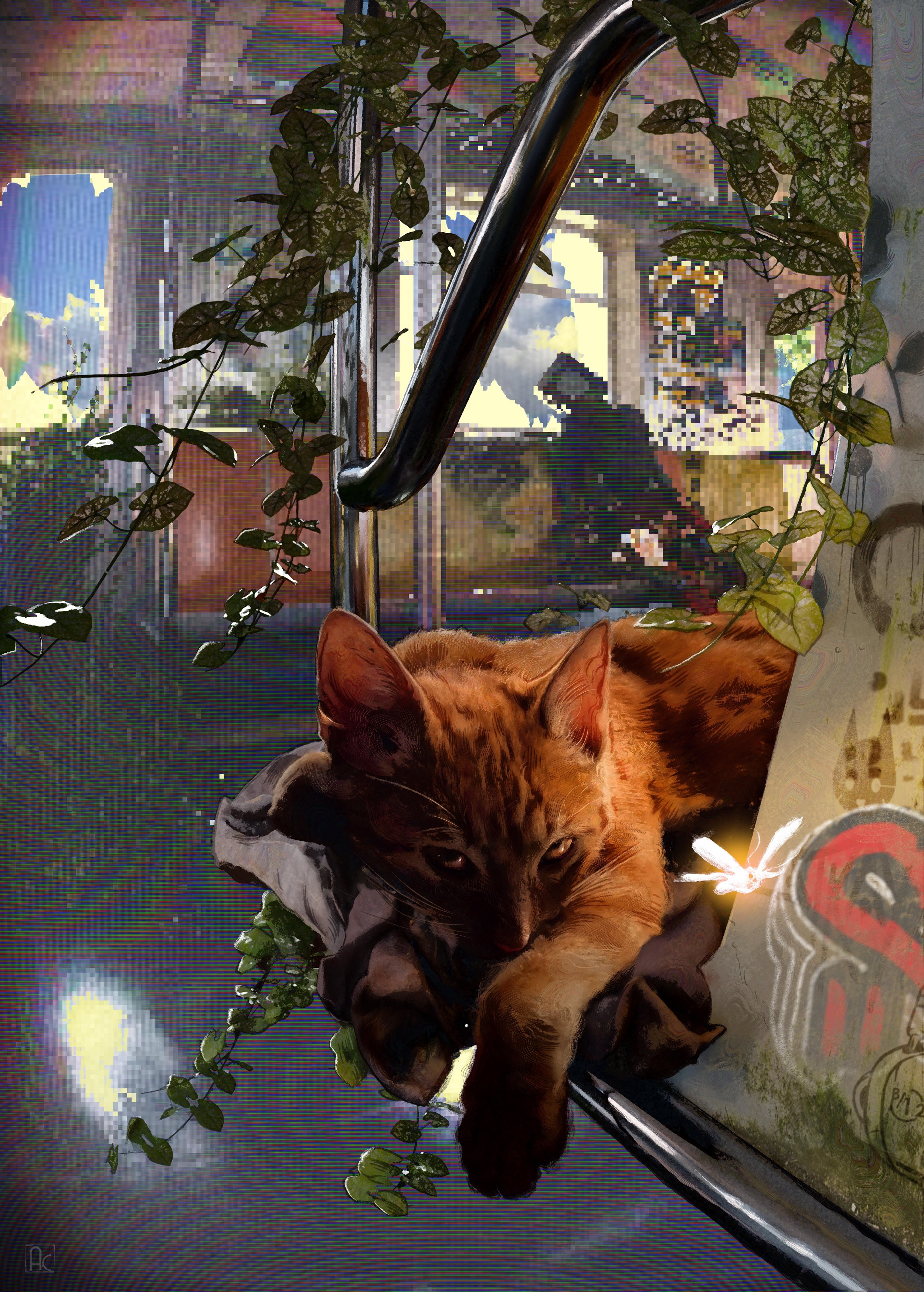 Stray
