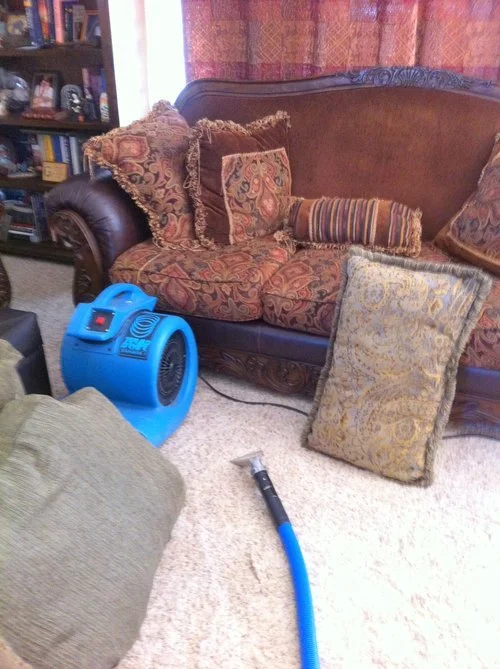  Experts in carpet and fine furniture cleaning and sanitizing. 