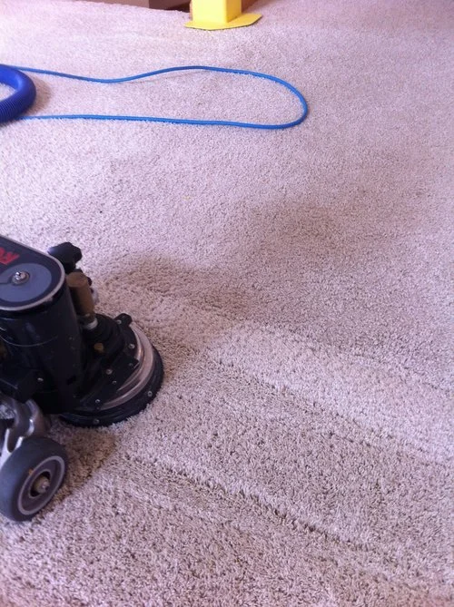  Here our professional dual rotary brush cleaning system applies hot cleaning solution, while gently agitating the fibers, then extracts all the solution along with the contaminants leaving your carpet smelling fresh and looking like new. &nbsp;No re