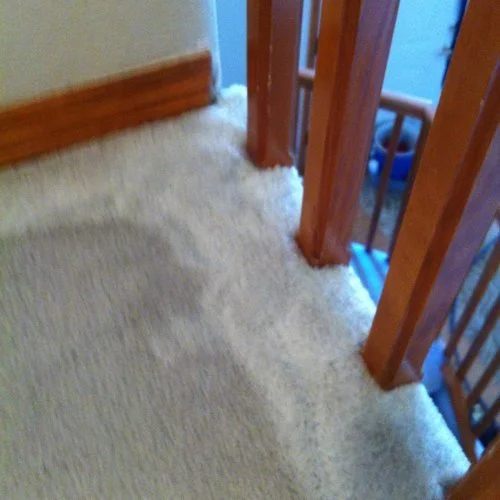  Another example of the difference cleaning those edges makes. 