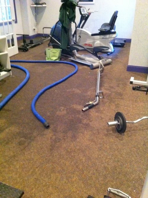  After this workout room was flooded, the excess water was extracted. &nbsp;Then we deep cleaned the carpet starting with the edges as you can see here. 