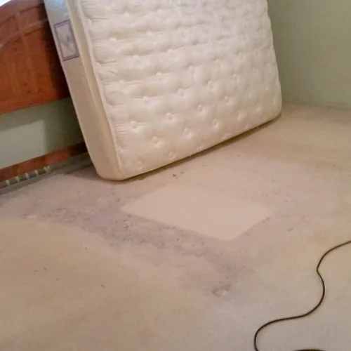  The white rectangle in the middle shows the difference after TNT cleaning. 