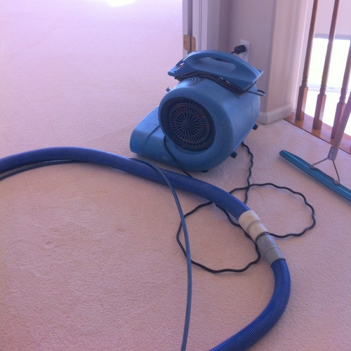  After each area is cleaned we place an industrial blower to quickly dry to carpet. &nbsp;Most of the time all are dry before we leave. 
