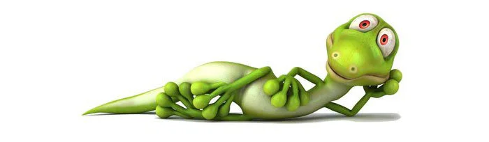 Gekko Relaxing