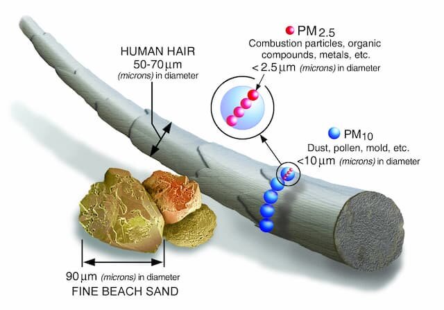 pm2.5_scale_graphic-color_2 (3).jpg
