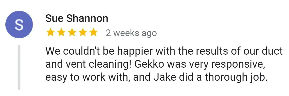 Gekko PowerClean got another 5-star review!