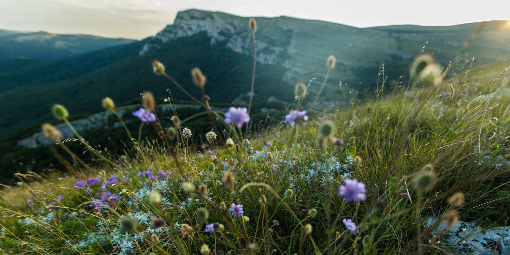 Roosevelt Conservation Caucus Drives Leadership on Commonsense Conservation