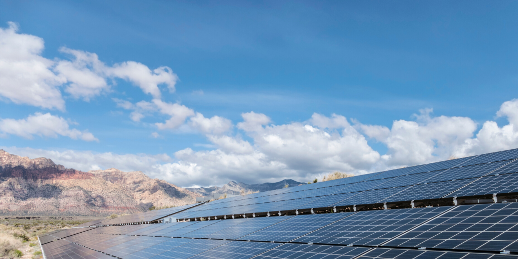 Trump Administration Set to Approve Largest Solar Project in the Country