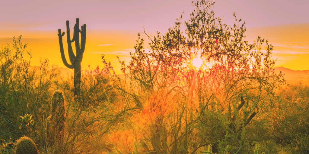 TWW and AZ Technology Council Release Recommendations on Economic Recovery