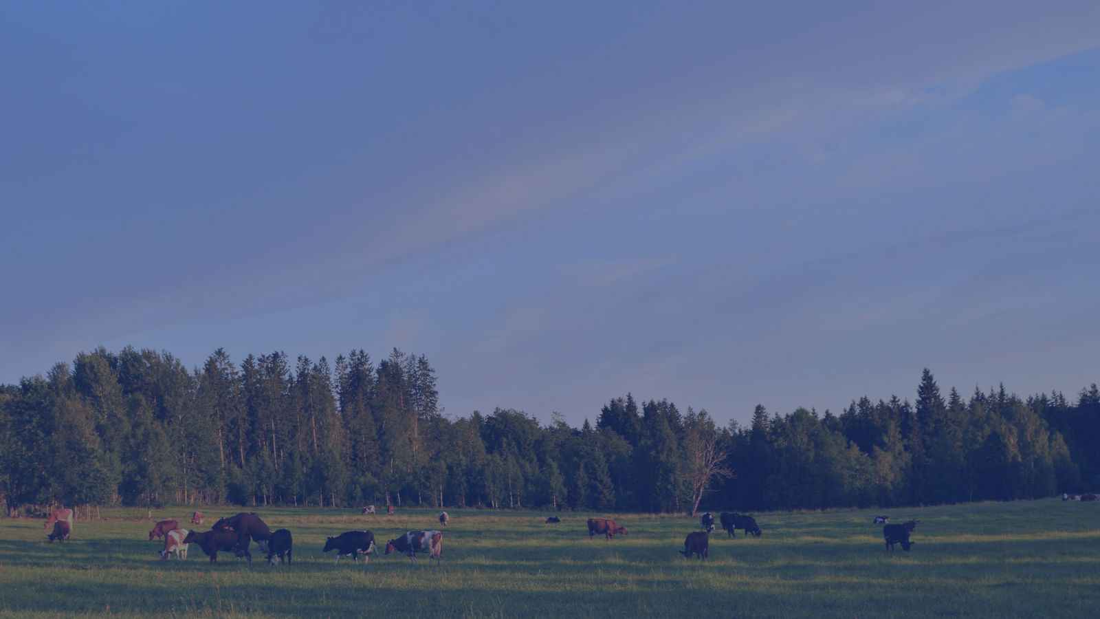 Solar Panels and Agricultural Land Use: Get The Facts