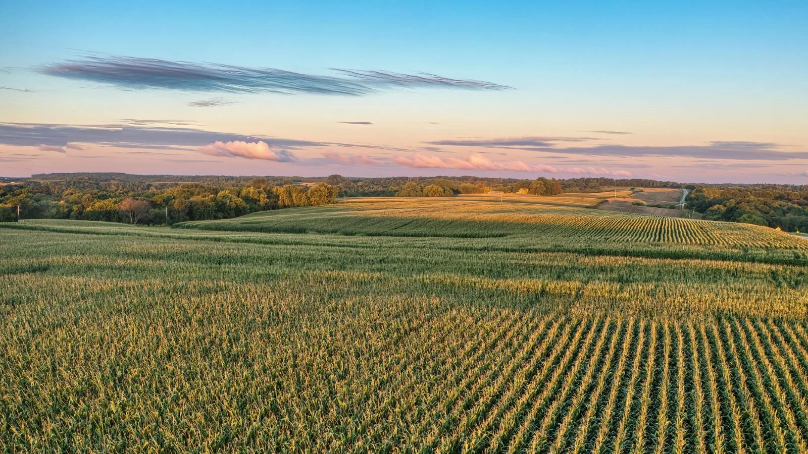 Critics of rural energy investment are forgetting how agriculture works
