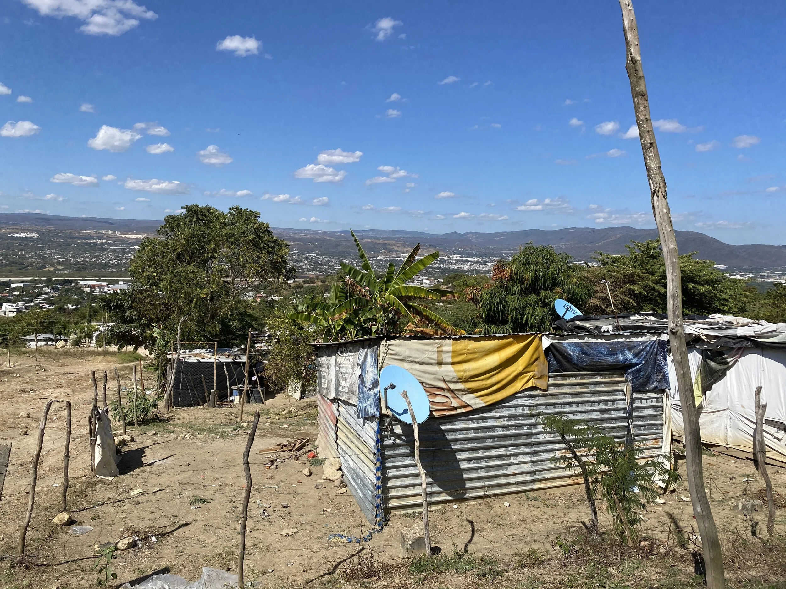 February 2021 Newsletter