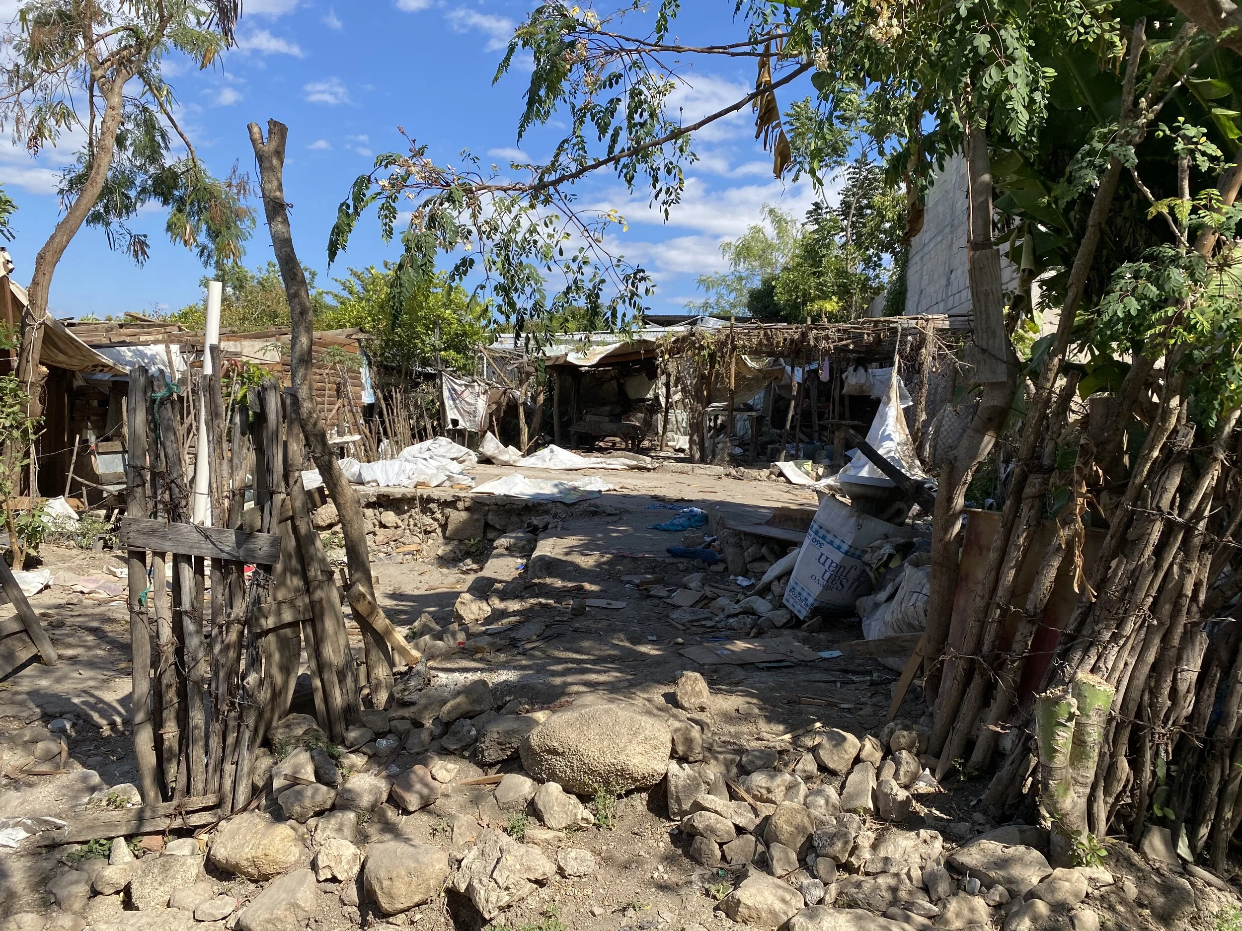 March 2021 Newsletter