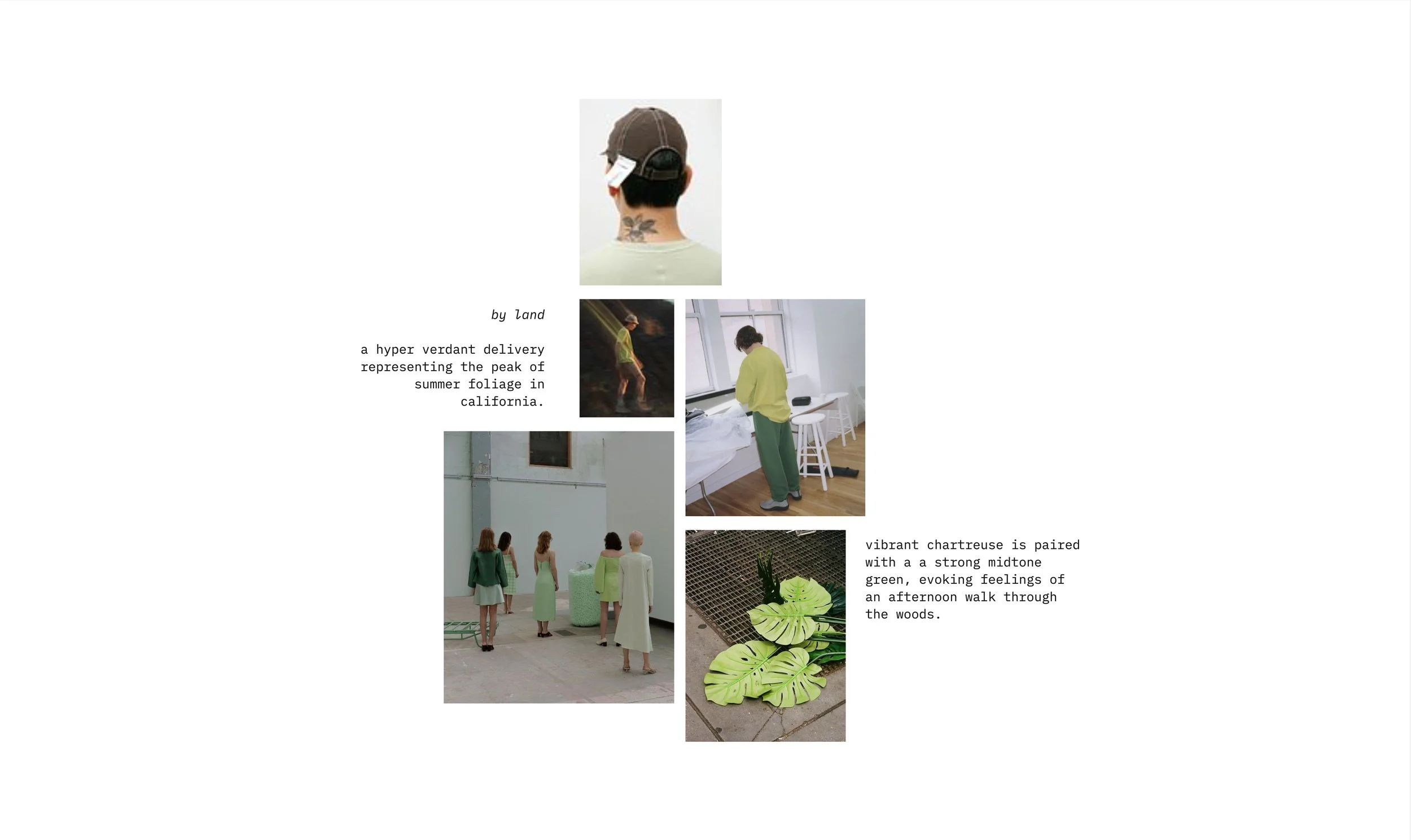 spring 26 - color