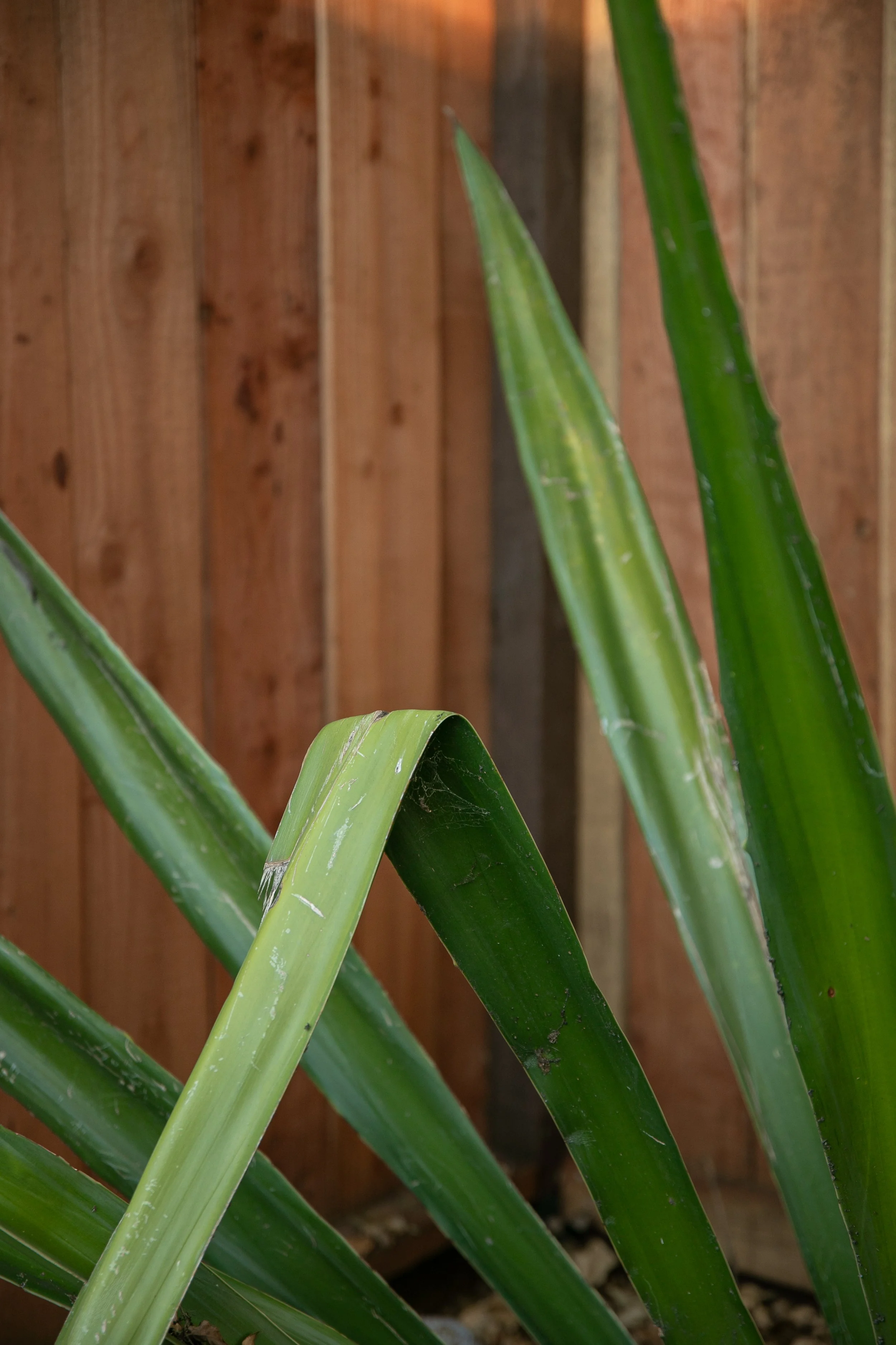 UNTITILED-15.jpg