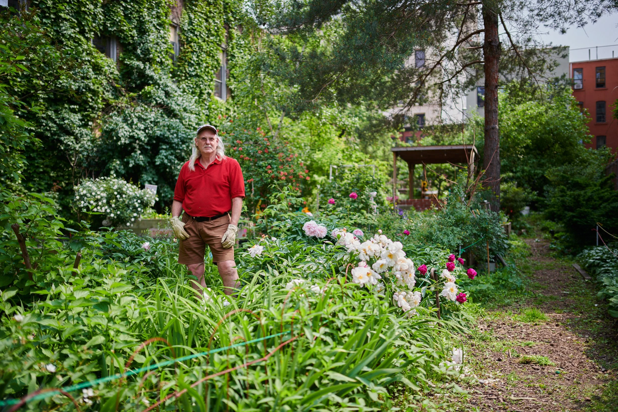 This is a place of harmony. This is a place of learning, beauty. It's a place to relax.

- Marty Rogers, Neighborhood Advisory Committee Community Garden, Melrose, Bronx, New York
