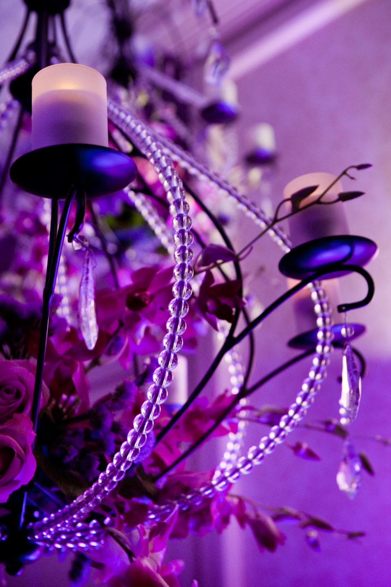 PurpleBall_0043 (1).jpg