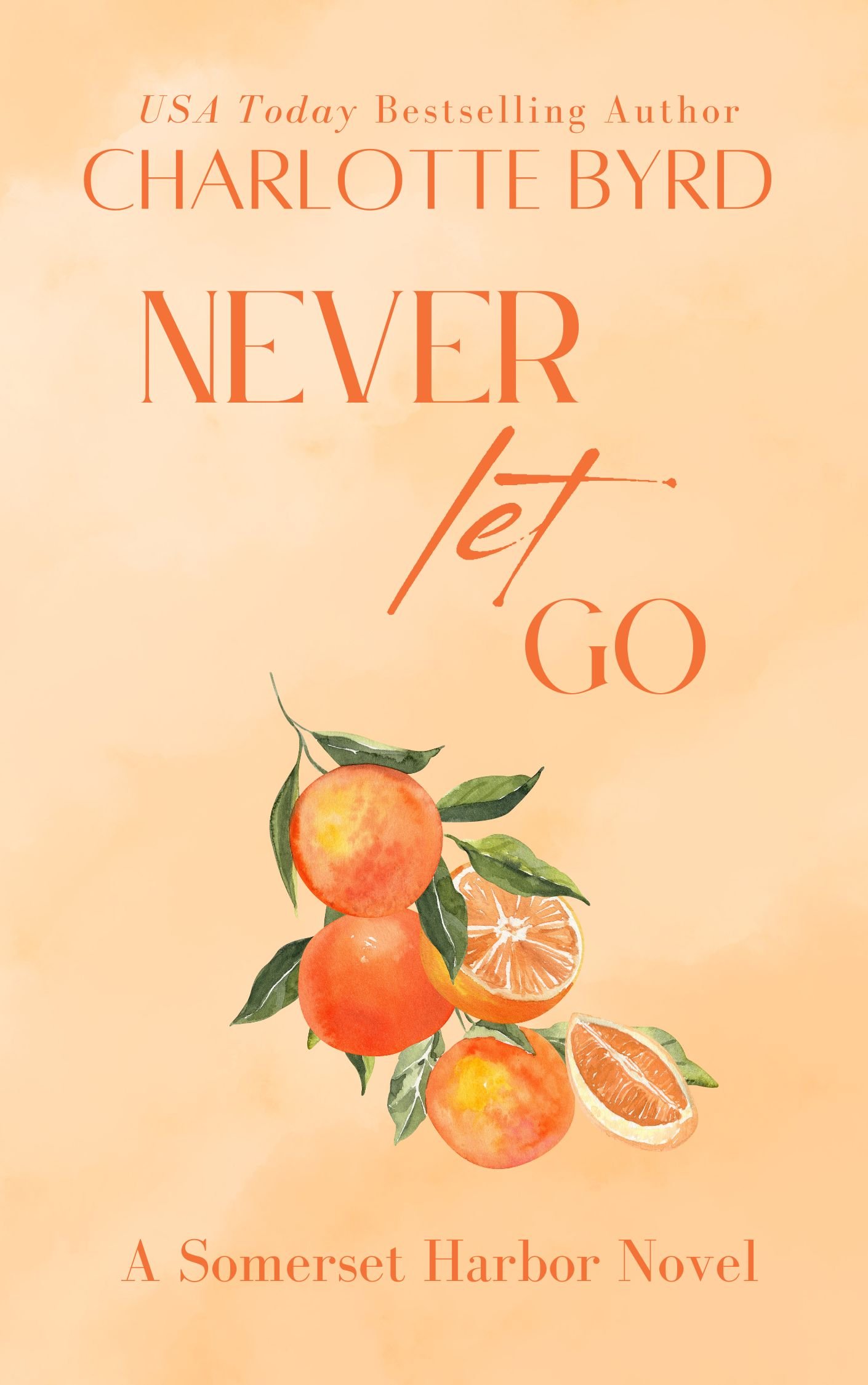 Never Let Go Book 7 Rebrand.jpg