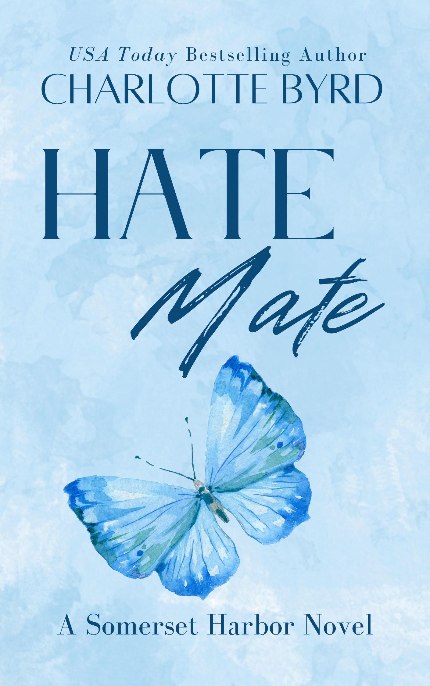 Hate Mate Book 1 REBRAND.jpg