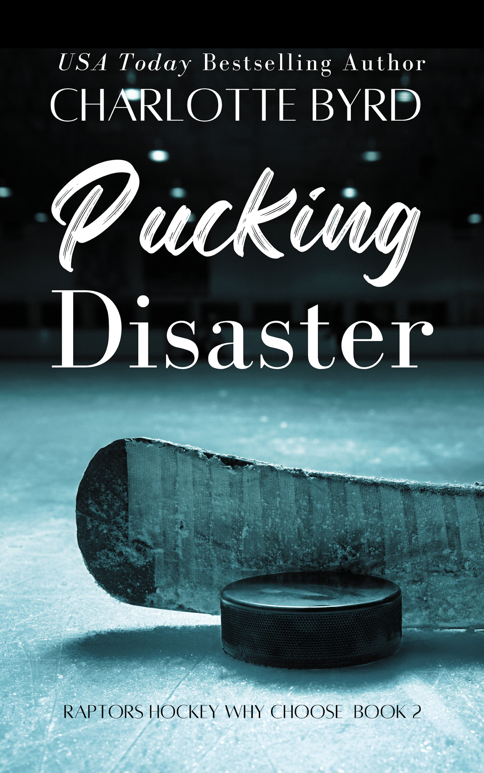 Pucking Disaster Hockey 2 (1).png