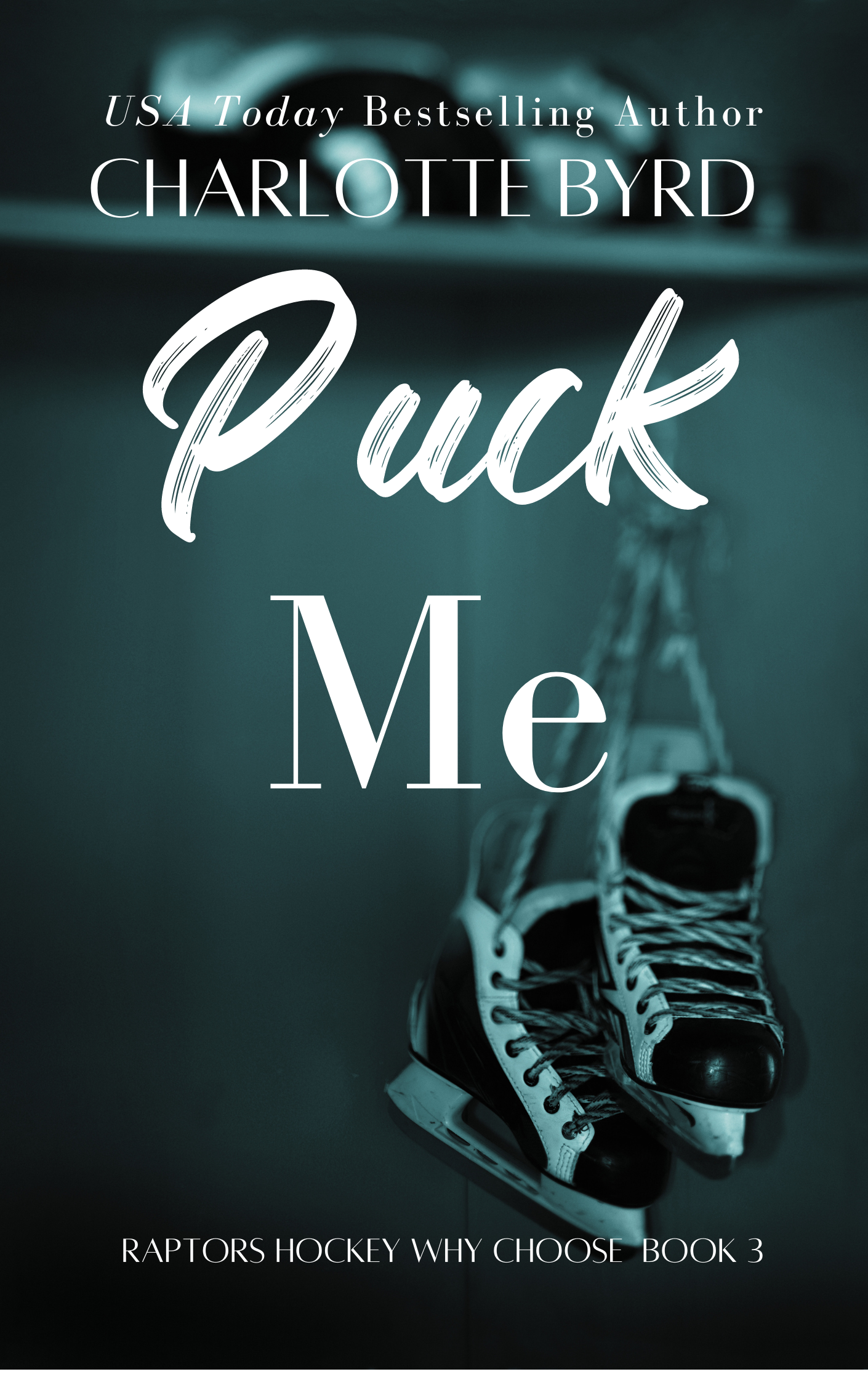 Puck Me Hockey 3 (1).png