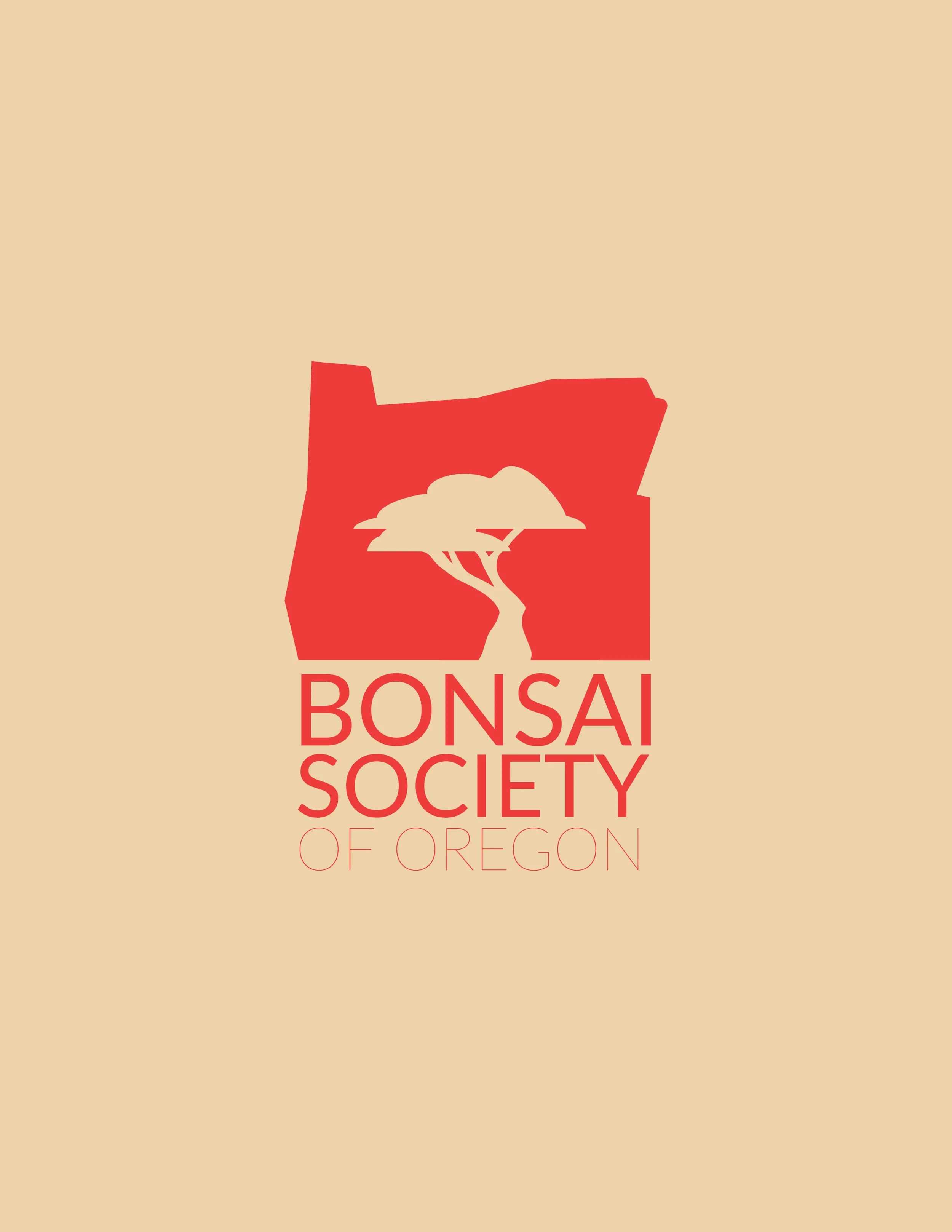 bonsai.jpg