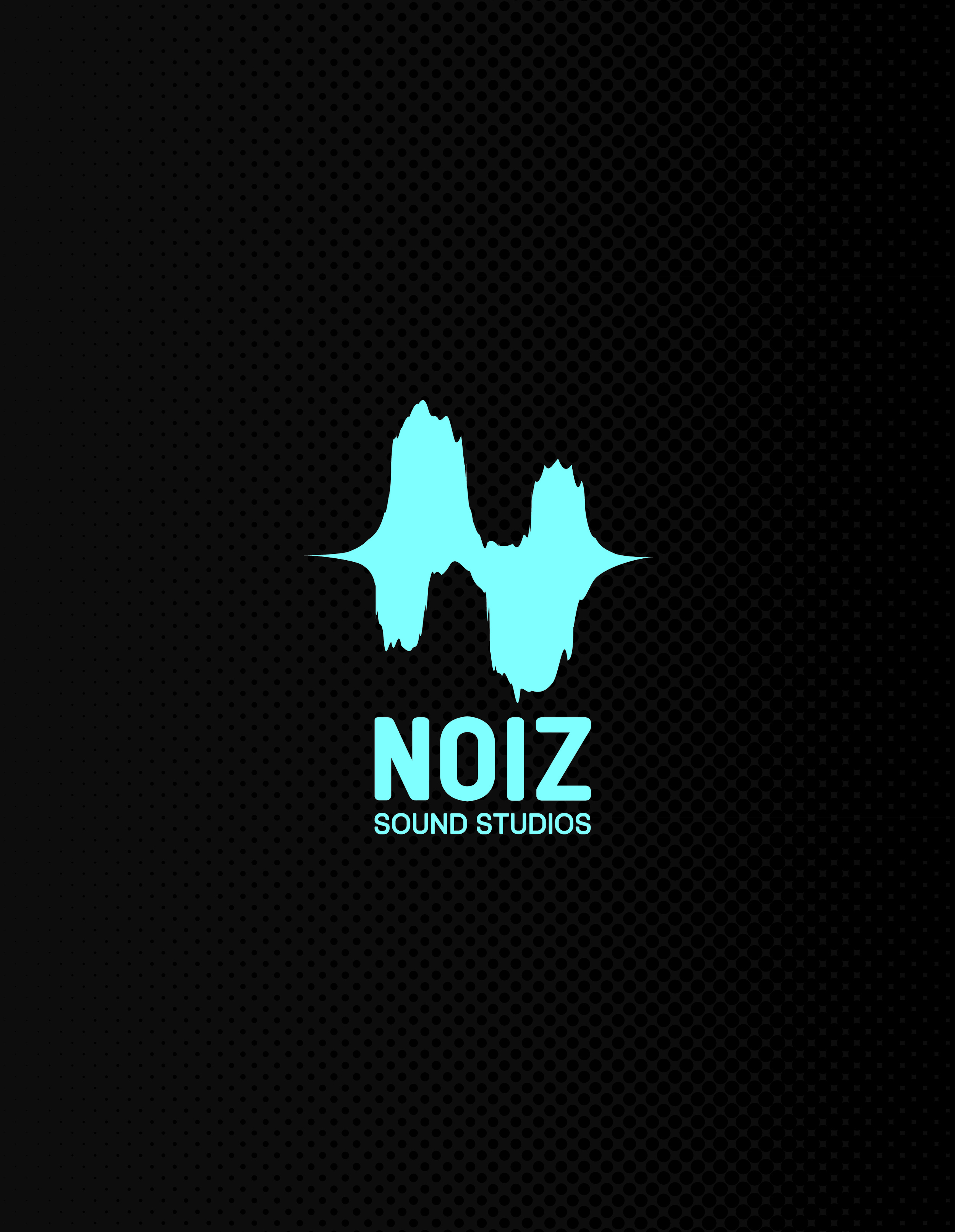 noiz.jpg
